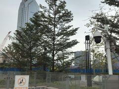 -番禺广场(市桥街道)