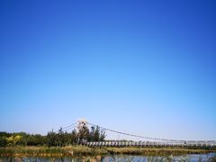 -西青郊野公园