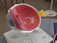 -武汉大学附属爱尔眼科医院(湖北总院)