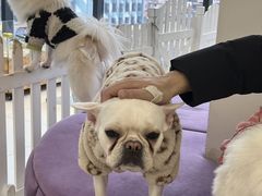 -怪兽屋·羊驼·猫咖·狗咖(俊华广场店)