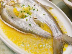 清蒸白水鱼-德元顺传家菜(三水湾店)