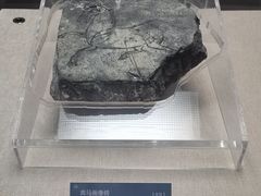 -亳州博物馆