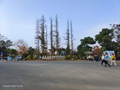 -上海长兴岛郊野公园