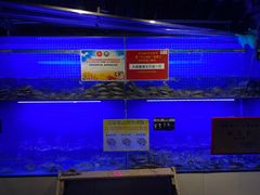 -军山湖云水间水上餐厅(进贤店)