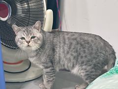 -贝来恩24H动物医院·转诊中心(稻香路店)