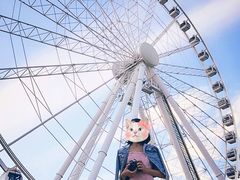 -布里斯班南岸公园