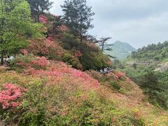 -木兰云雾山