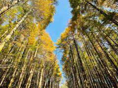-山王坪喀斯特国家生态公园