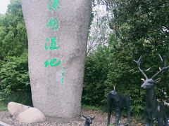 -溱湖国家湿地公园