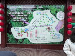 -野象谷景区