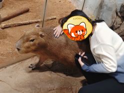 -Zoolung Zoolung动物主题公园(海信广场店)