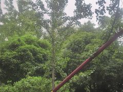 -上海佘山国家森林公园天马山园