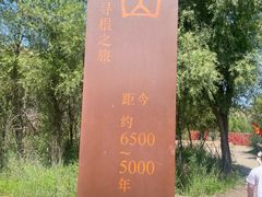 -玉龙沙湖景区