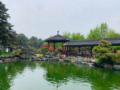 -中国唐苑