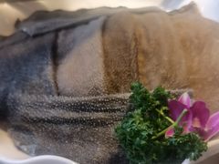 -二荆条·蜀鲜汇城市森林火锅