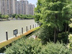 -陈家山荷花公园