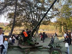 -青龙山国家森林公园