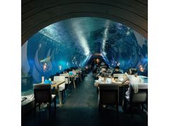 -海棠湾洲际-涛·海底餐厅·美人鱼·自助餐·海底隧道
