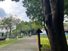 -观澜湖生态运动公社