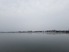 -鹅湖玫瑰文化园