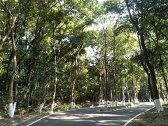 -火炉山森林公园