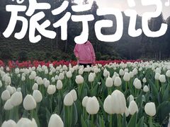 -龙苍沟森林公园