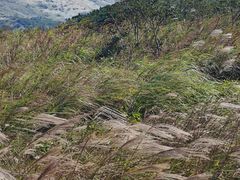 -嵛山岛