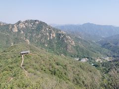 -大岭沟猕猴桃谷风景区