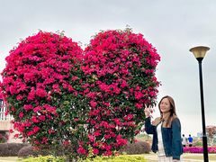 -东莞植物园
