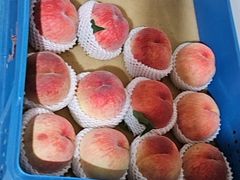 -老袁家蜜桃农场·阳山水蜜桃