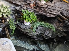 -山水茶艺馆·点心粤菜·30年老字号