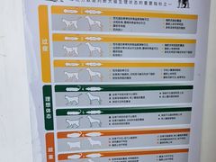 -宠颐生宠物医院外科·内科·皮肤科·影像科(石龙店)