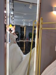 -SATIN COUTURE瑟庭婚纱礼服馆