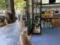 -伟伟宠物医院·CT影像中心·瑞派犬猫综合性门诊(汉口总院)