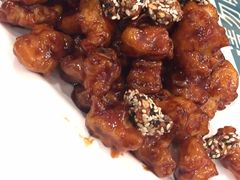 -正阳春烤鸭(华捷道店)