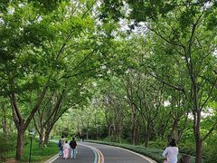 -同里国家湿地公园