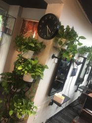 -AFA Hair studio·女士发型设计