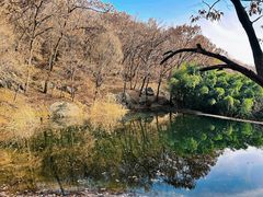 -鲁山国家森林公园