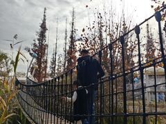 -前小桔亲子创意农场·草莓采摘·露营烧烤