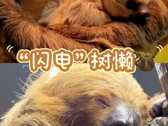 -正佳雨林生态植物园