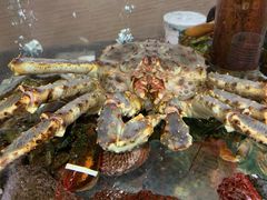 帝王蟹-寻味顺德·南记酒家·传统顺德菜·鱼生(广源路店)