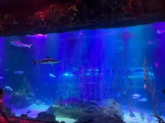 -沈阳海洋探索中心