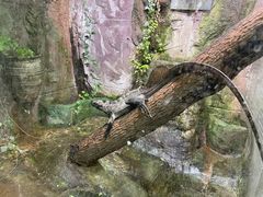 -上海大自然野生昆虫馆