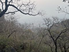 -北京鹫峰国家森林公园