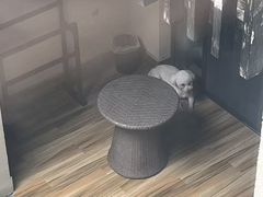 -上海崇明金茂凯悦酒店