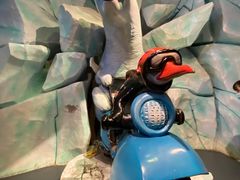-海合安武汉极地海洋公园