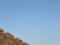 -原山国家森林公园