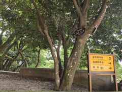 -普陀山风景区-佛顶山