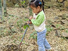 -上海佘山国家森林公园天马山园