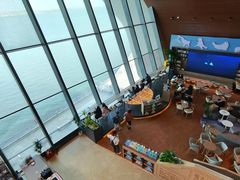 -抱抱地球咖啡馆(国家海洋博物馆店)